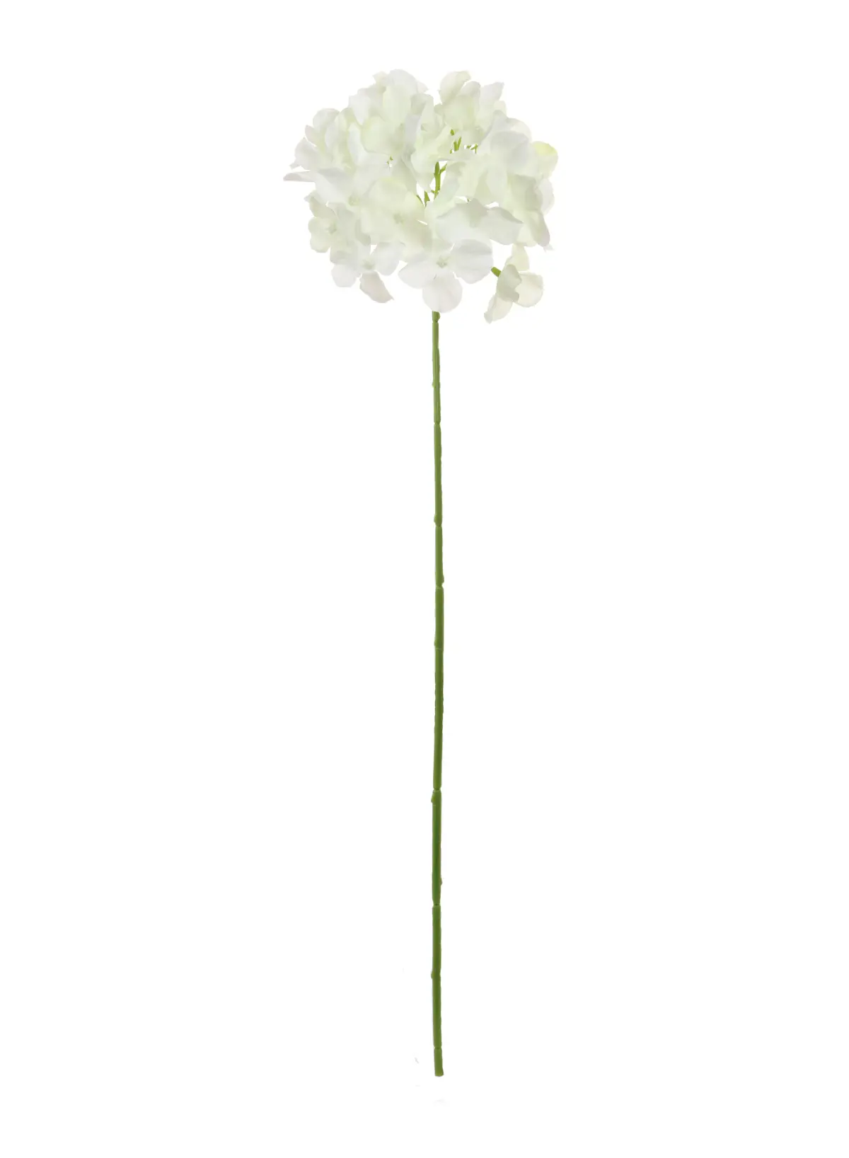 Hydrangea Stem White