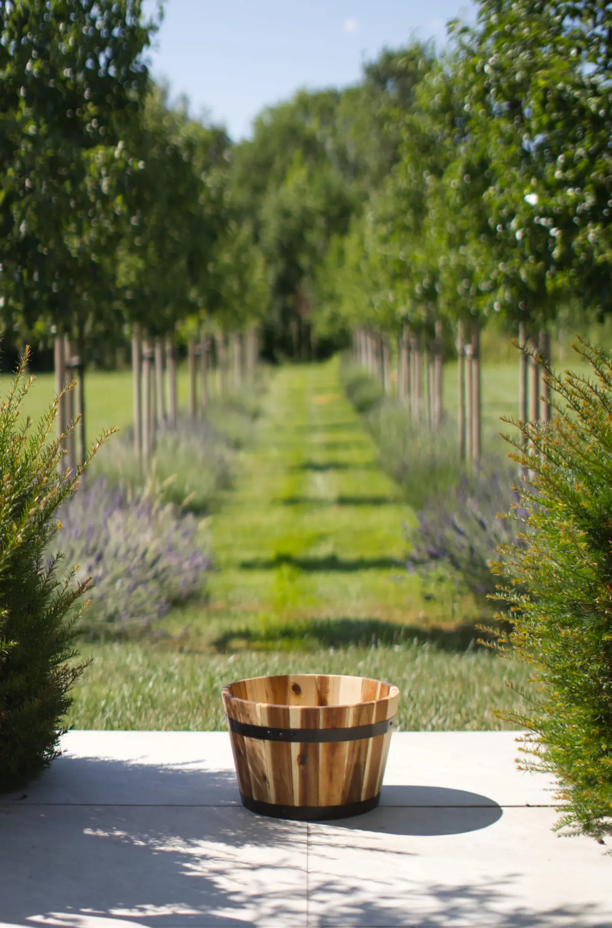 Vegtrug Natural Finish Small 13" Wooden ...