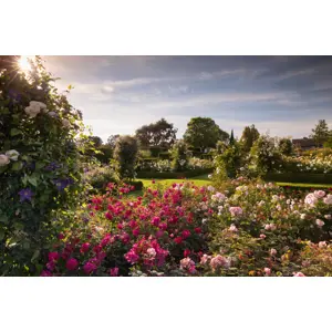 Visit to a RHS Garden for Two