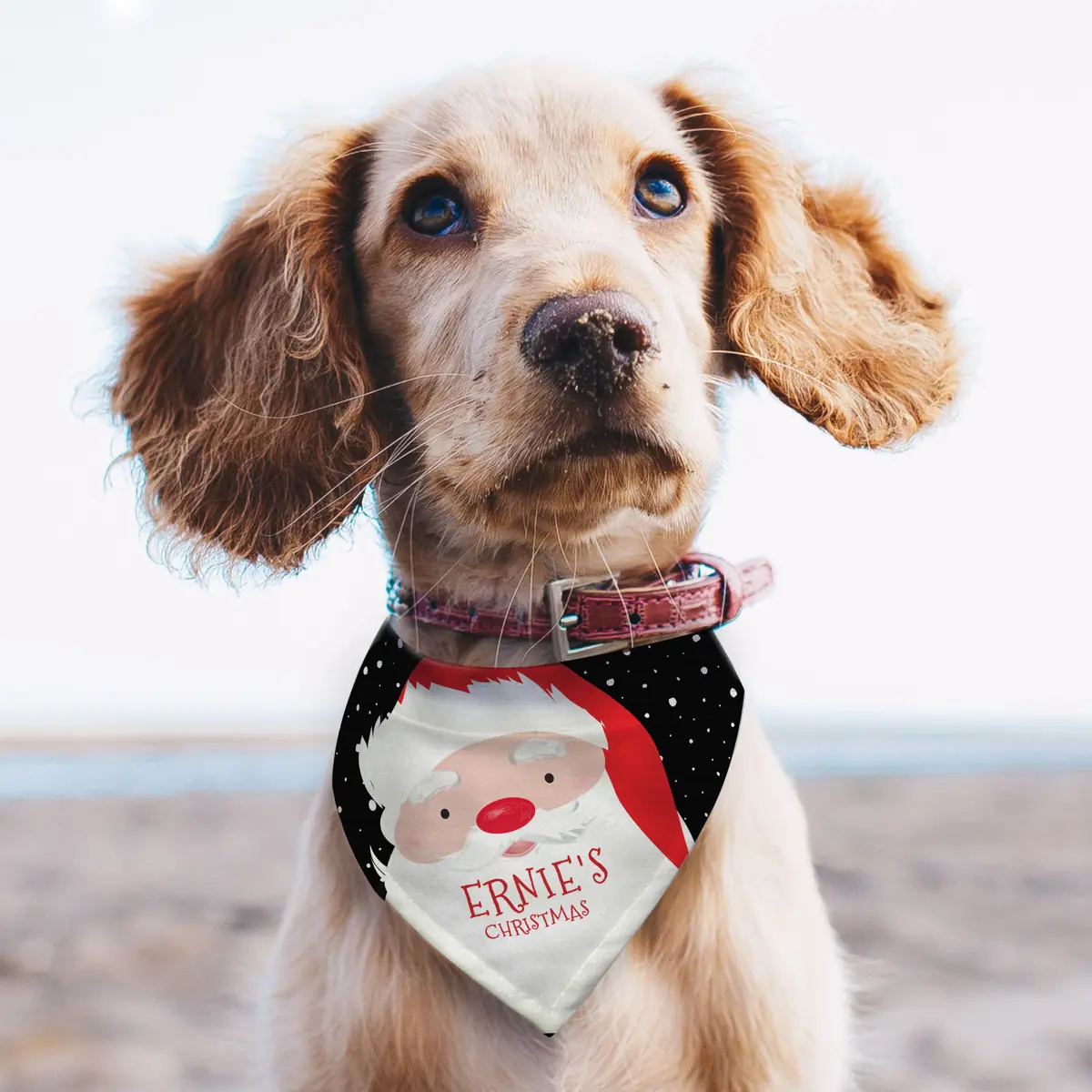 Personalised Christmas Santa Dog Bandana