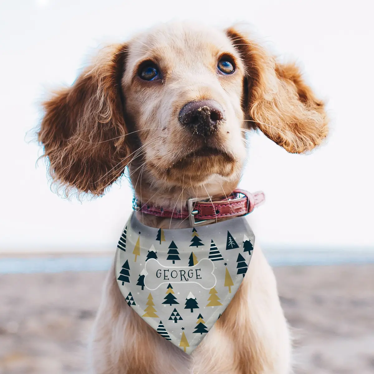Personalised Christmas Tree Dog Bandana 3